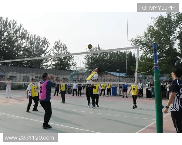 赵磊独家分享排球技巧与心得助你提升技术水平与比赛表现